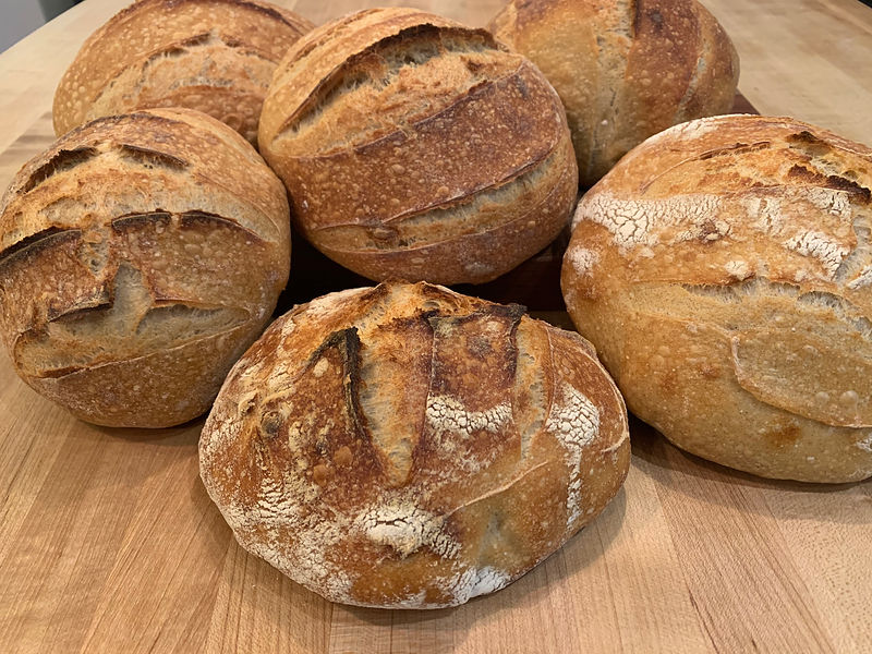 Baking Sourdough With Your Starter